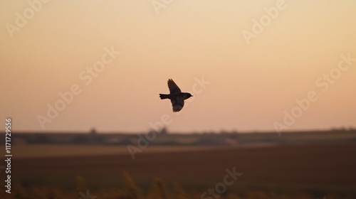 Silhouette of a small bird in flight against a sunset over a rural landscape.