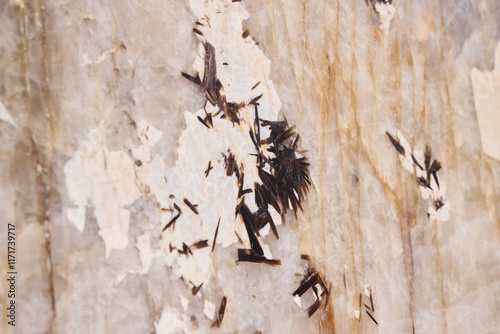 An Abstract Texture Demonstrating Dark Strands Set Against a Marble Surface Background photo