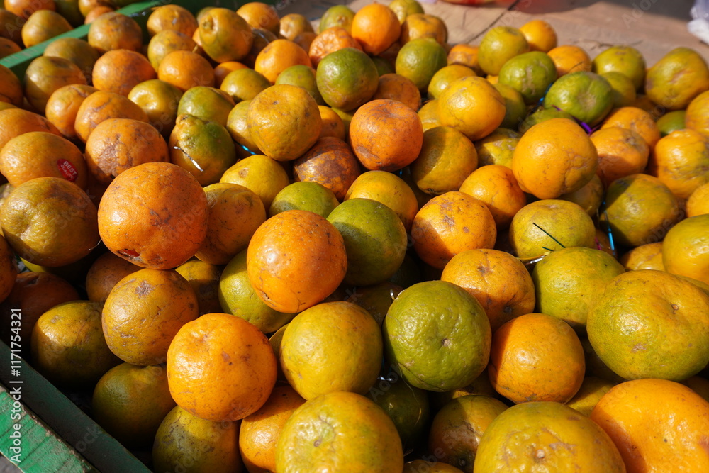 Oranges are kept in the basket in the fruit market Oranges are kept in the basket in the fruit market
