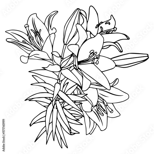 Bouquet of lilies in doodle style. Openwork illustration isolated on white background.