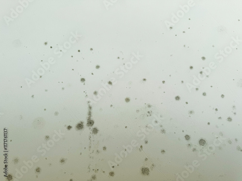 Mold growth on a surface inside a damp environment during the day