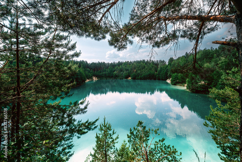 lake in the forest