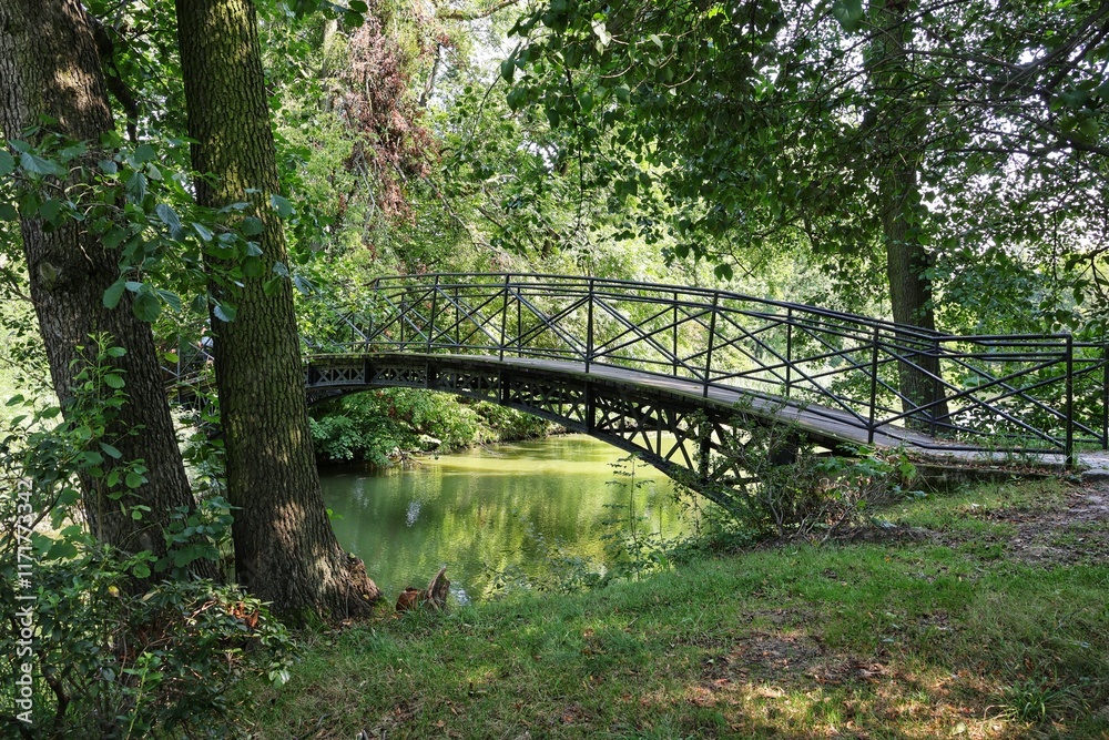 A pedestrian bridge in a park in Pszczyna, Poland. A pedestrian bridge in a park in Pszczyna, Poland.