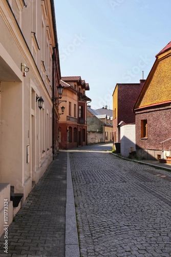 A narrow street with low houses in Pszczyna, Poland.