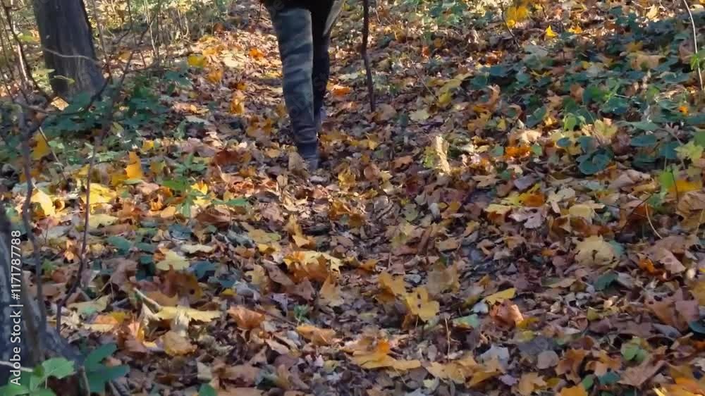 Person is walking through a field of yellow leaves. The leaves are scattered all over the ground, and the person is wearing black pants. The scene has a peaceful and serene mood Person is walking through a field of yellow leaves. The leaves are scattered all over the ground, and the person is wearing black pants. The scene has a peaceful and serene mood
