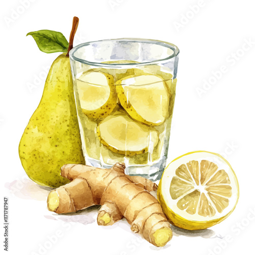 A watercolor vector painting of a glass of pear, ginger, and lemon juice, isolated on a white background. Pear Ginger Lemon Juice vector.

