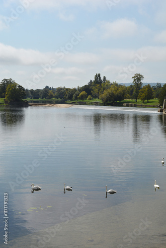 A view of Foginovo bathing area on the Korana River in Karlovac, featuring a dam and swans photo