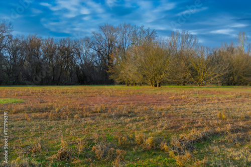 Field in Martely near Tisza photo