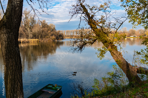 Backwater of the Tisza river in November photo