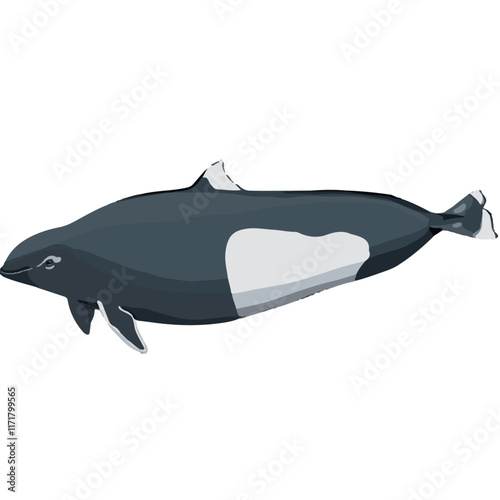 porpoise