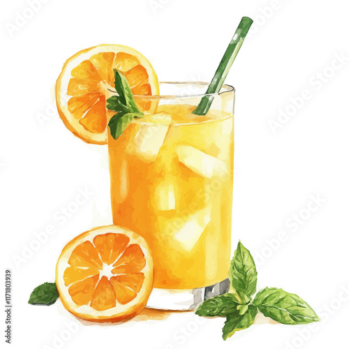 A watercolor vector painting of a glass of orange and mint juice, isolated on a white background. Orange Mint Juice vector.



