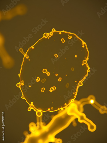 Coccus Bacteria