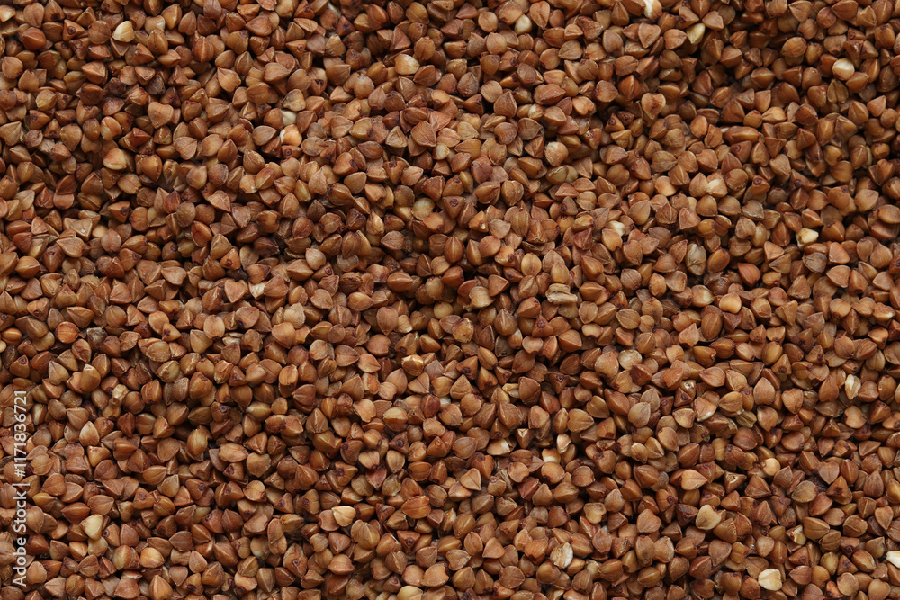 Buckwheat groats, top view. Raw large buckwheat grains, uncooked porridge. Buckwheat background. Raw buckwheat texture background, brown grains pattern Buckwheat groats, top view. Raw large buckwheat grains, uncooked porridge. Buckwheat background. Raw buckwheat texture background, brown grains pattern