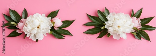 Wallpaper Mural A beautiful pastel pink spring floral peony background, offering ample copy space. Banner. Torontodigital.ca