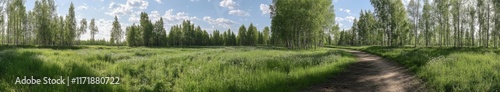 Park scene in spring showcases a lush pine and fir forest with a pathway