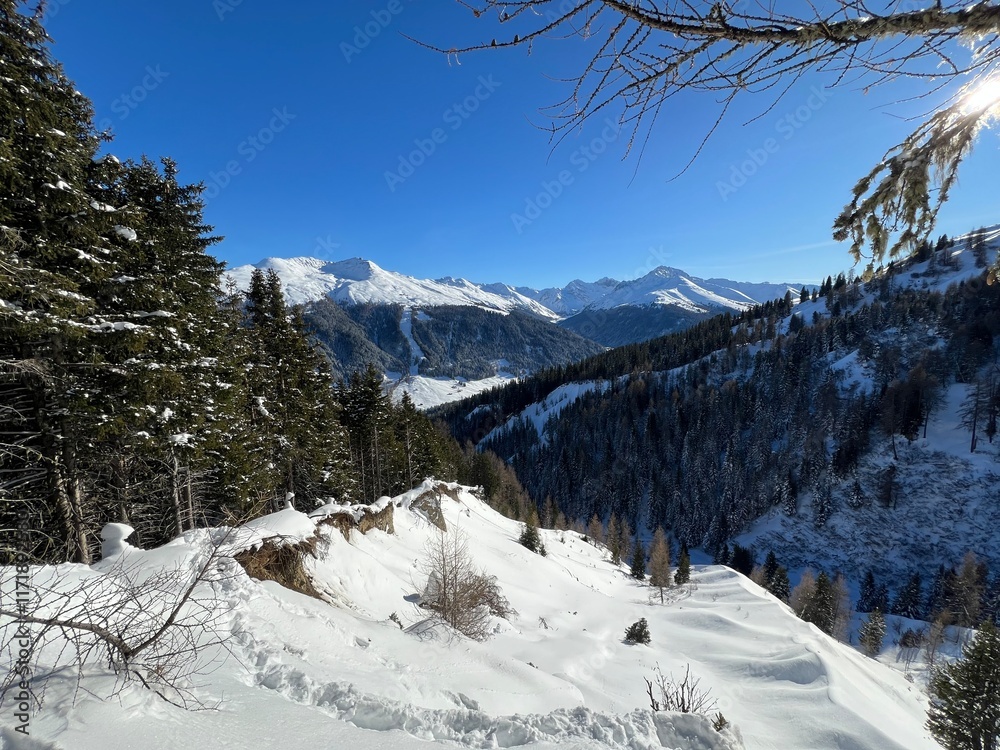 Fototapeta premium Wonderful winter hiking trails and traces in the fresh alpine snow cover of the Swiss Alps and over the tourist resort of Davos - Canton of Grisons, Switzerland (Kanton Graubünden, Schweiz)