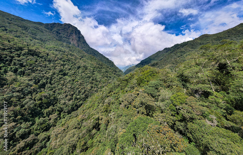 Obraz na płótnie Green Mountains Surrounded by Crops on a Slightly Cloudy Day in Salento, Quindío, Colombia w salonie