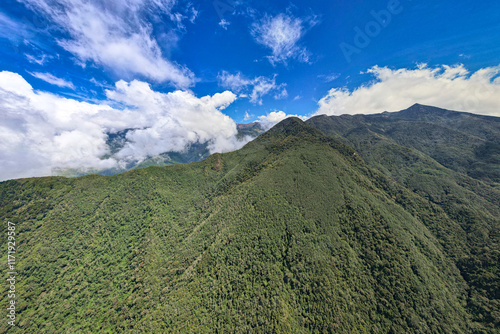 Obraz na płótnie Green Mountains Surrounded by Crops on a Slightly Cloudy Day in Salento, Quindío, Colombia w salonie