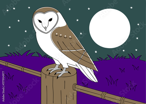 Barn Owl Night Illustration: Detailed.