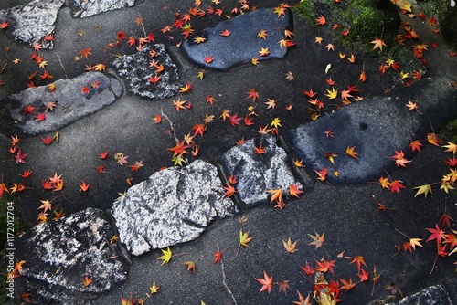 autumn leaves on the stone steps in Japan