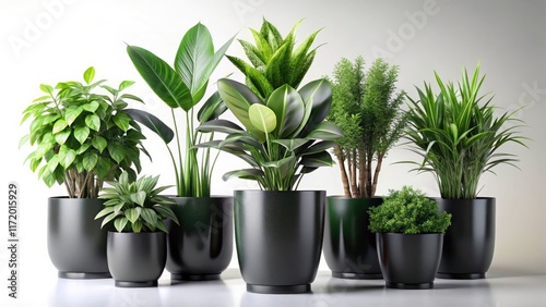 Wallpaper Mural Isolated 3D houseplants, black pots, high-resolution drone photography. Torontodigital.ca