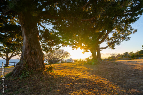 和歌山県　本州最南端からの夕陽の風景(2024年12月)