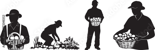 Silhouette of a farmer holding a basket of freshly picked fruit, farmer harvesting vegetables from the garden vector silhouette
