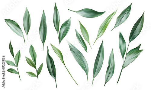 Collection of various green leaves isolated on black.