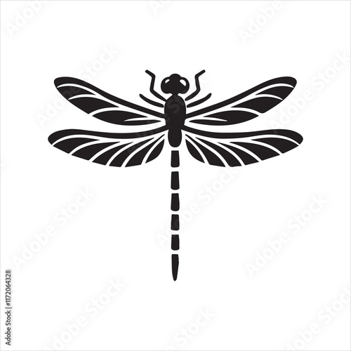 dragonfly illustration