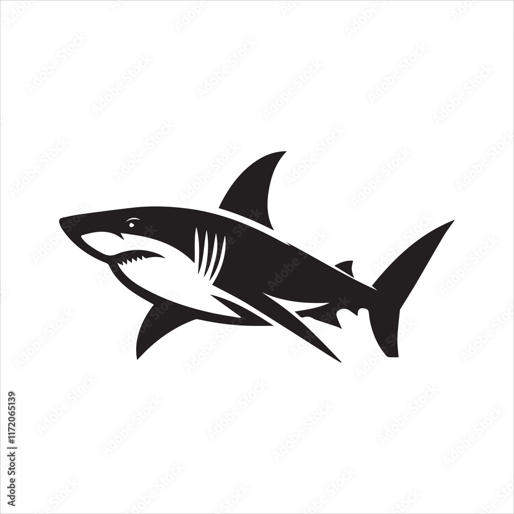 shark illustration