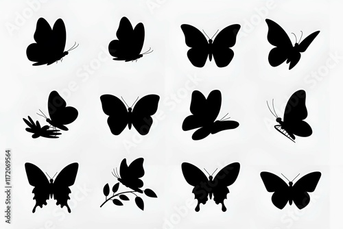 butterfly silhouettes in black with various wing shapes on a white background