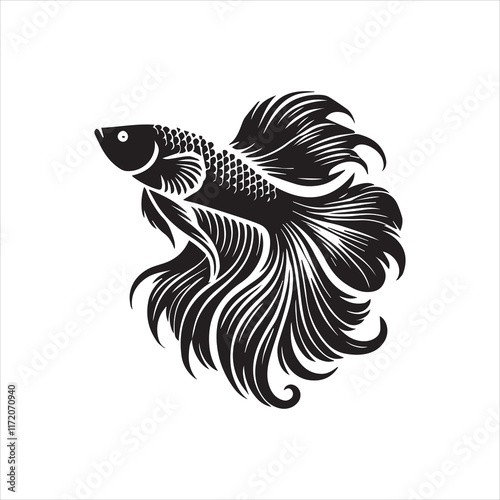 black and white fishes