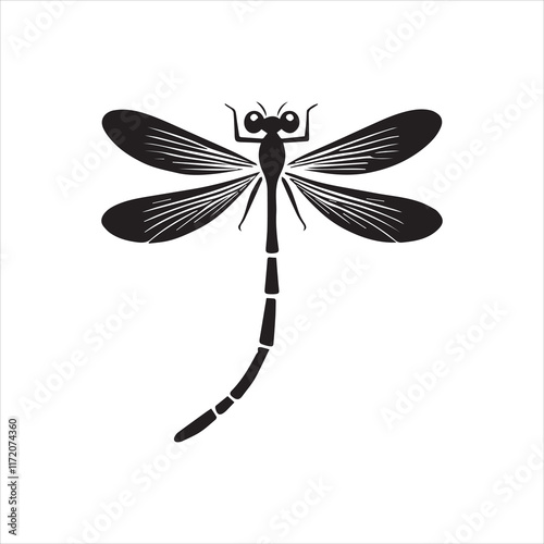 dragonfly on white background