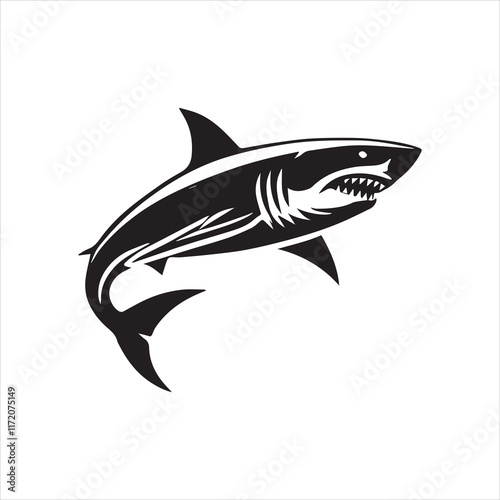 shark isolated on white
