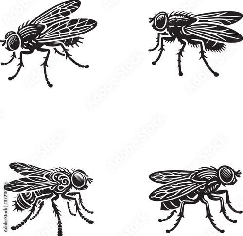 Detailed Silhouette Illustrations of Flies - Vector Set