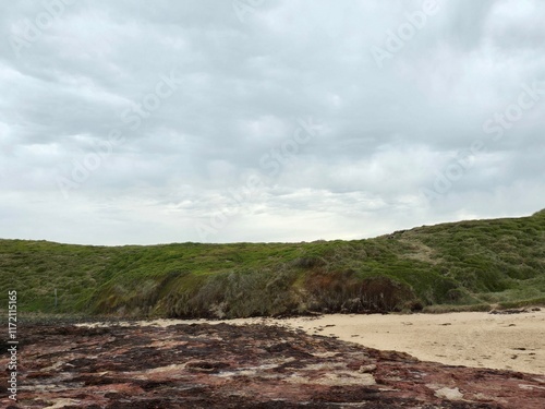 Scenic Coastal Landscape at Forest Caves, Australia with Rocky Shoreline and Lush Green Hills Under Cloudy Sky