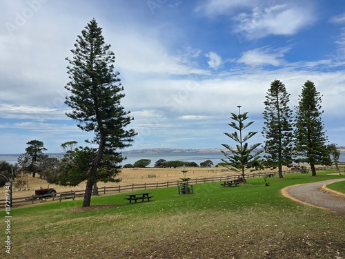 Scenic View of Phillip Island, Australia with Tall Pine Trees, Green Grass, and Ocean Horizon under a Blue Sky with Clouds