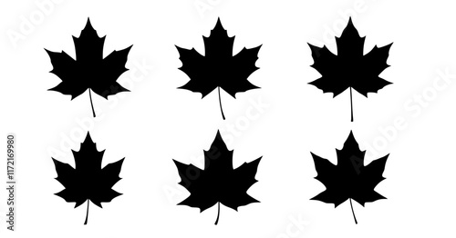 maple leaf silhouettes. vector set. PNG white background
