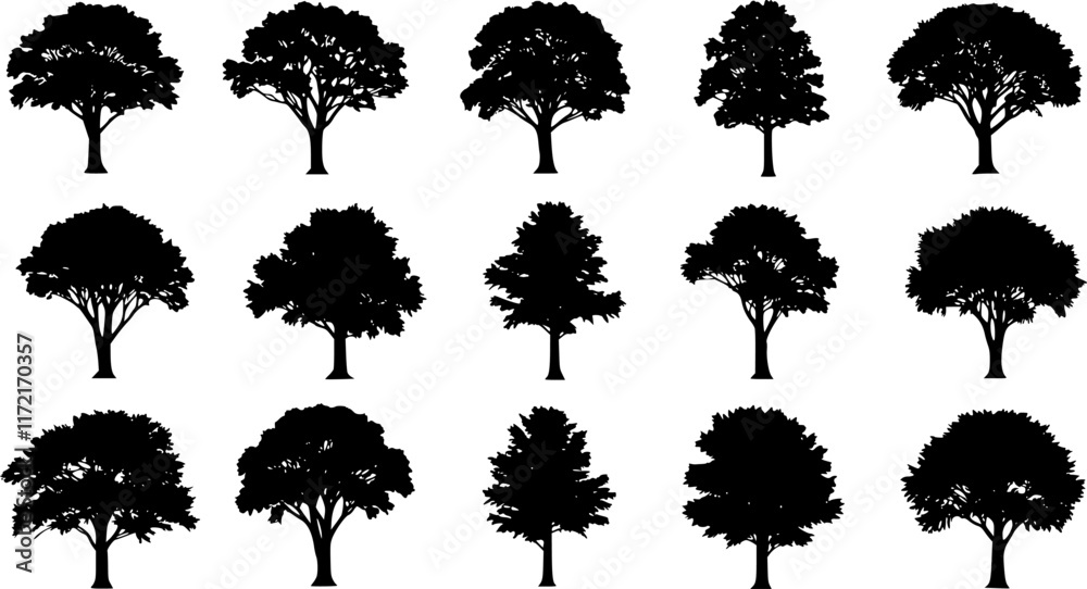 various deciduous trees silhouettes on the white background. vector set. PNG white background