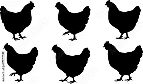 chicken silhouettes. vector set. PNG white background
