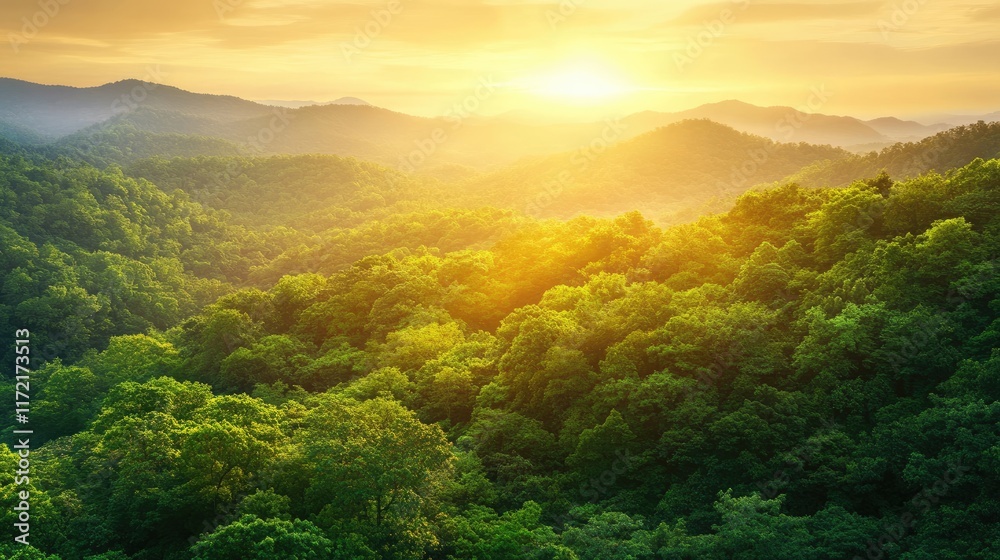 A panoramic view of forest-covered mountains glowing in golden sunlight at sunrise. A panoramic view of forest-covered mountains glowing in golden sunlight at sunrise.