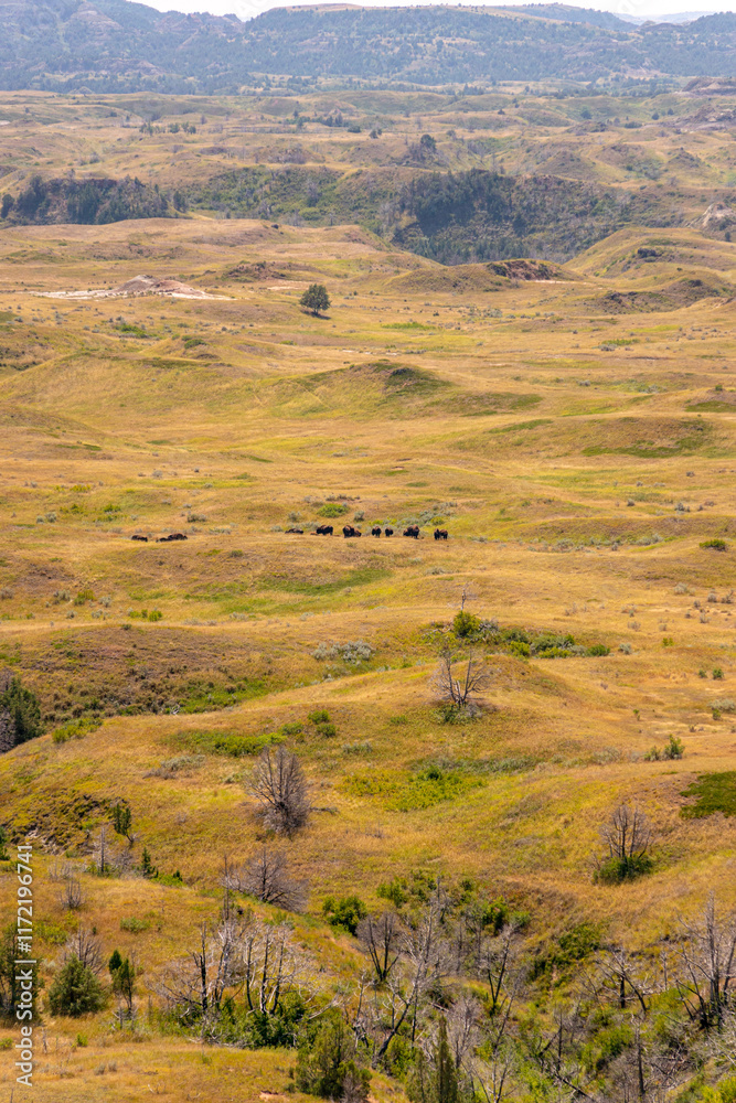 Obraz premium Painted Canyon Trail