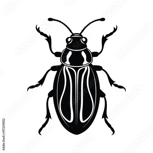 beetle animal.eps