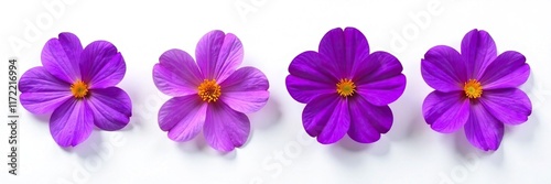 Four regal purple flowers with large orange centers against a white background, , flowers