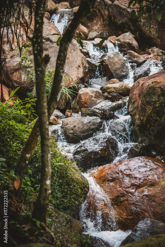 River in the forest