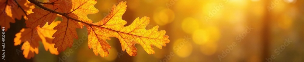 Fototapeta premium Yellow and orange hues of an autumn oak branch, leaf, yellow, orange