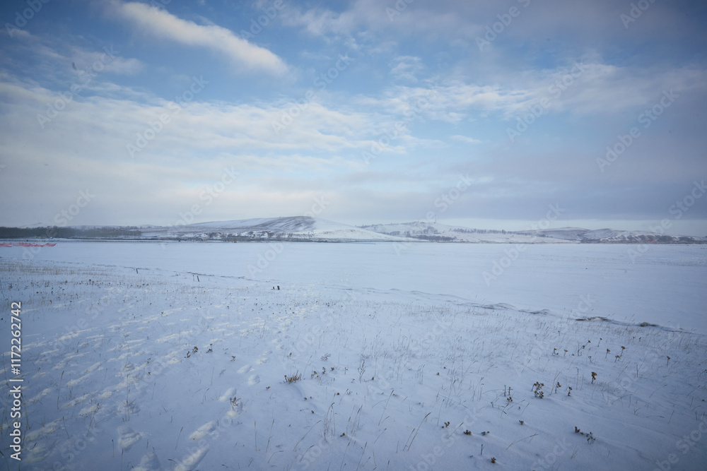 Fototapeta premium Winter forest natural scenery