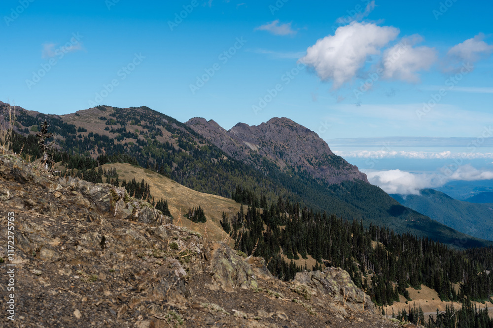 Hurricane Ridge in Olympic National Park in the Pacific Northwest in Washington Hurricane Ridge in Olympic National Park in the Pacific Northwest in Washington