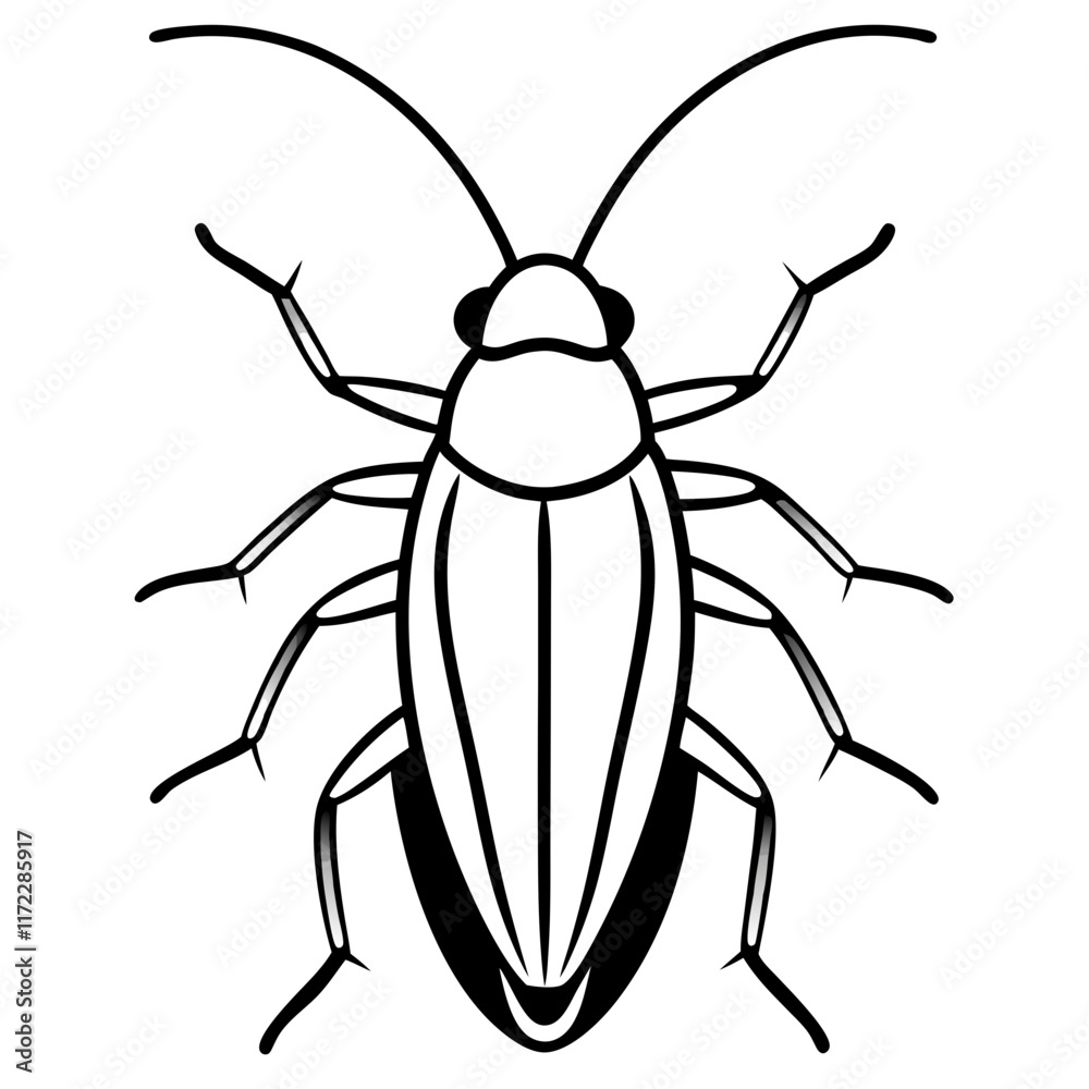 black beetle isolated on white background black beetle isolated on white background