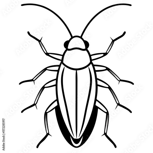 black beetle isolated on white background